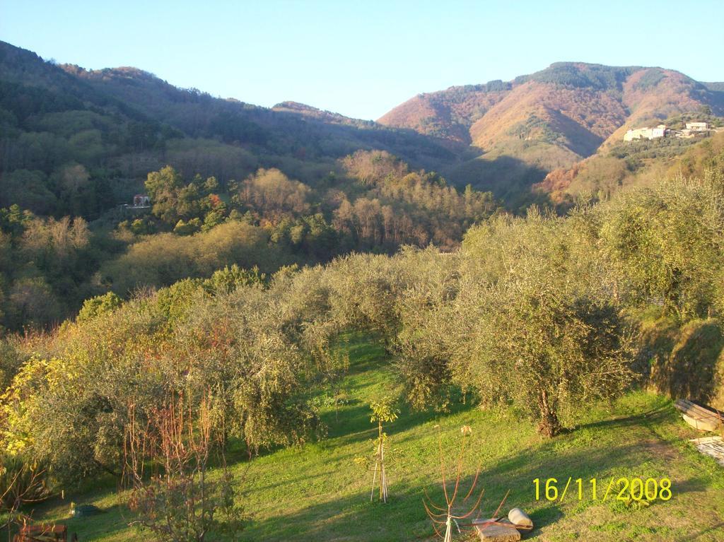 La Casa Dei Limoni Apartment Matraia Luaran gambar