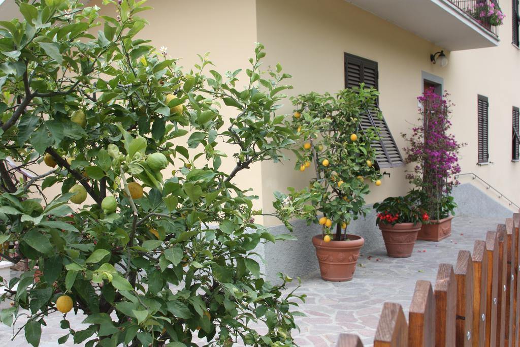 La Casa Dei Limoni Apartment Matraia Luaran gambar