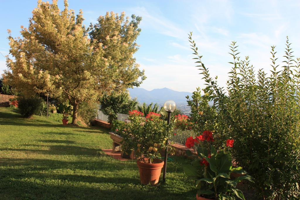 La Casa Dei Limoni Apartment Matraia Luaran gambar